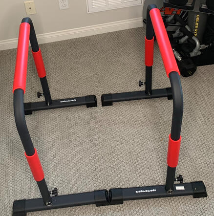 Sportsroyals Dip Station